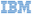 IBM logo